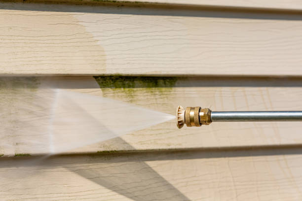 Professional Pressure Washing in Gerald, MO